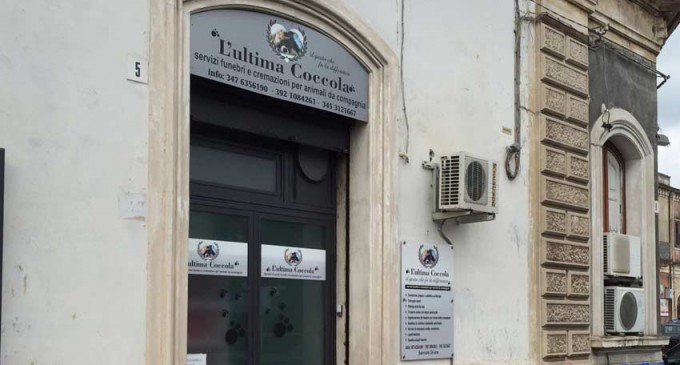 l’ultima coccola