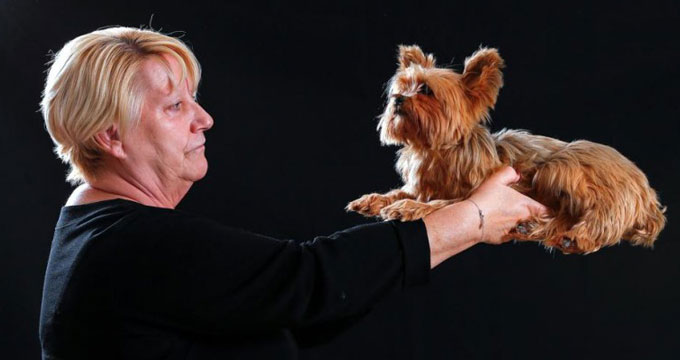 belgio-ce-animatrans