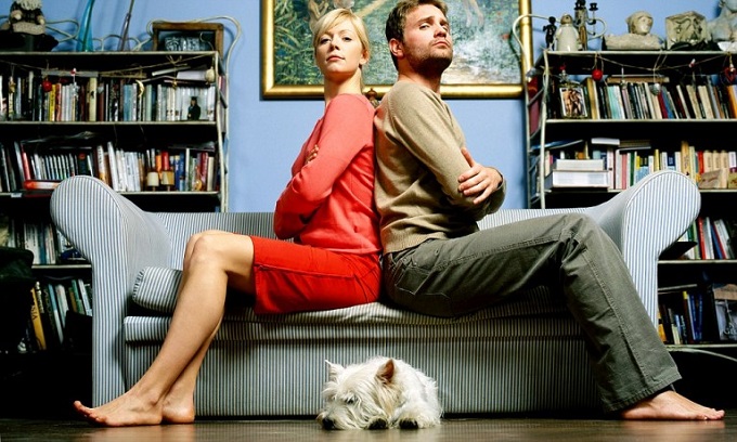 Separazioni: sono 4mila ogni anno i cani, gatti e pets contesi in Tribunale.