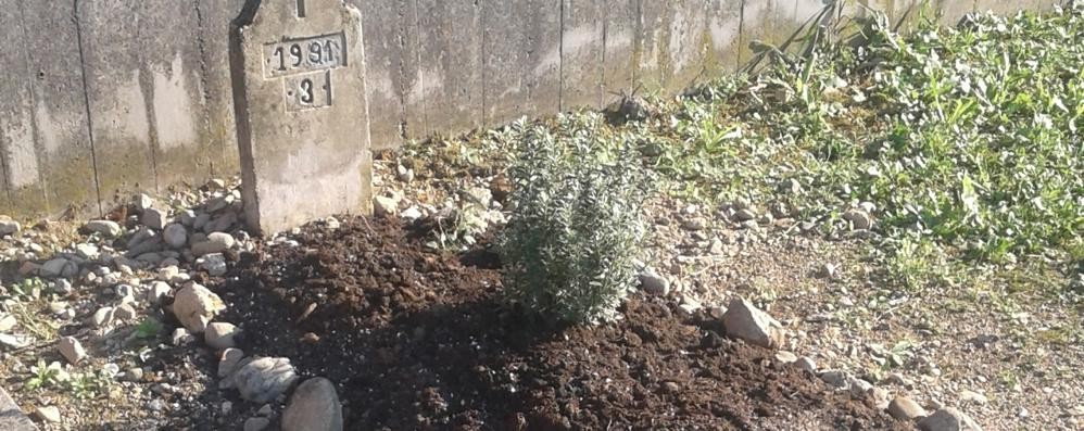 tomba-cimitero-mernate