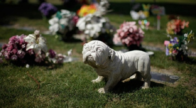 cane_cimitero