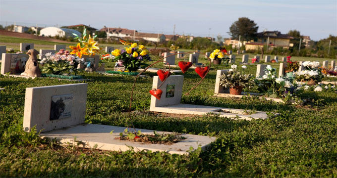 cimitero-animali-2-2-2
