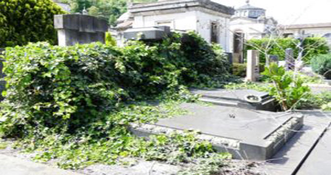 Como. Monumentale preda dell’incuria. Il Comune: “Più cimiteri che addetti per curarli”.