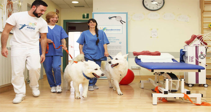 pet Torino. Fido in corsia: così la pet therapy aiuterà i malati di Sla.