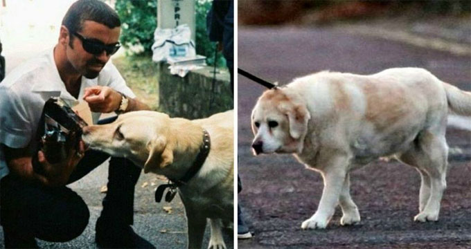 George-Michael-il-cane-Abby