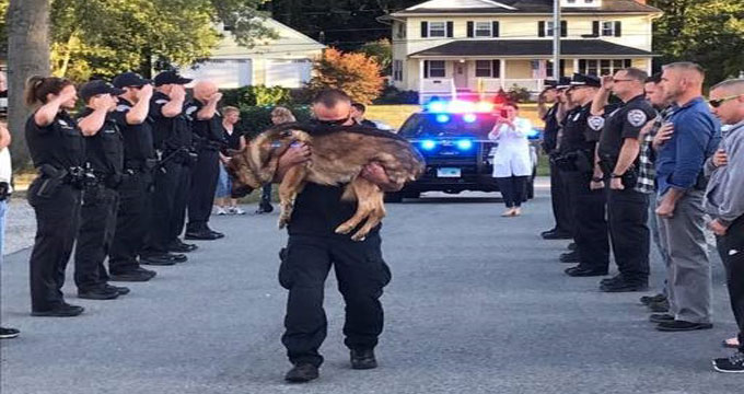 Usa. L’addio al cane poliziotto morto di cancro.