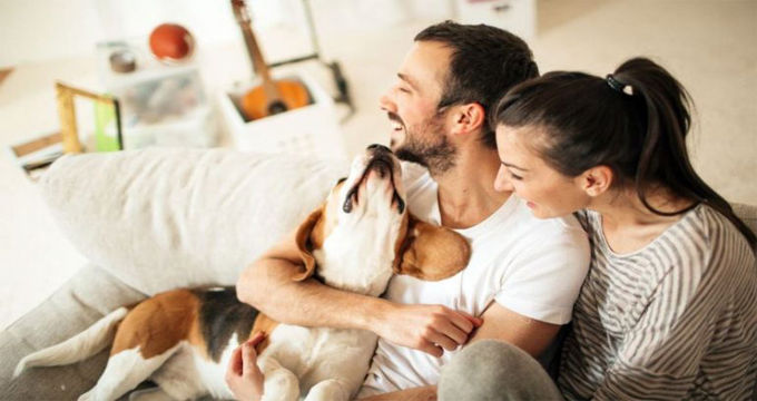 Infarto e malattie cardiache: per i proprietari di cani il rischio di morire è minore.