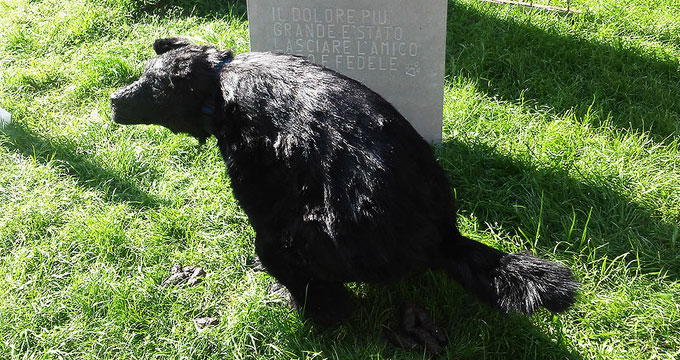 arte-cimitero-cattelan
