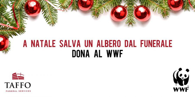 TAFFO_Banner_dona-la-WWF