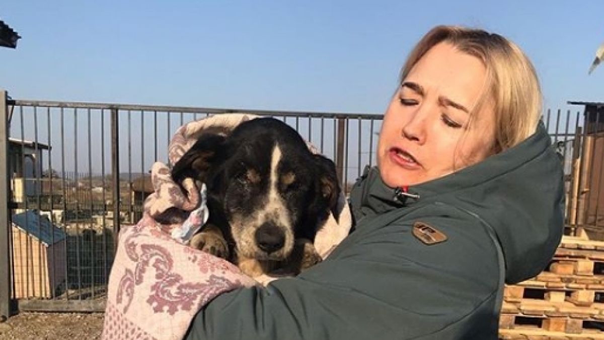 cane-morto-sepolto-dick