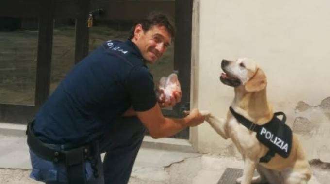 mexy-cane-polizziotto