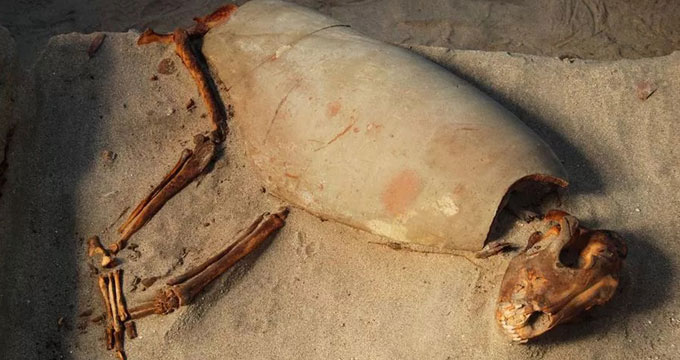Egitto. Trovato antico cimitero di animali: gatti e cani sepolti come persone.