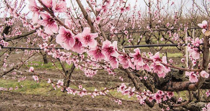 E che non sia un’illusione.