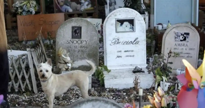 cimitero-per-animali-7-1645300