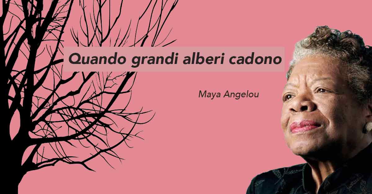 Quando grandi alberi cadono di Maya Angelou.