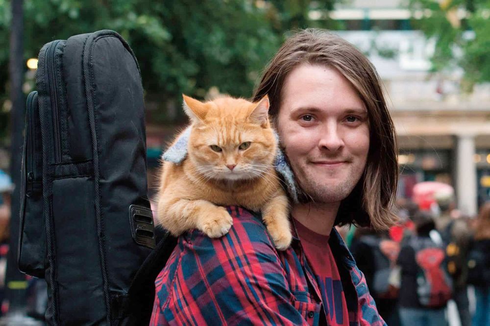 La storia del gatto Bob: da randagio a leggenda con una statua in memoria a Londra.