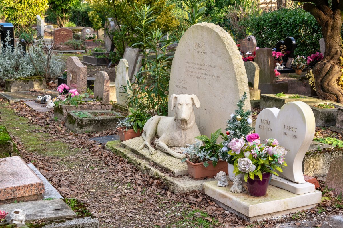 A Rionero Sannitico il primo cimitero per animali domestici in Molise.