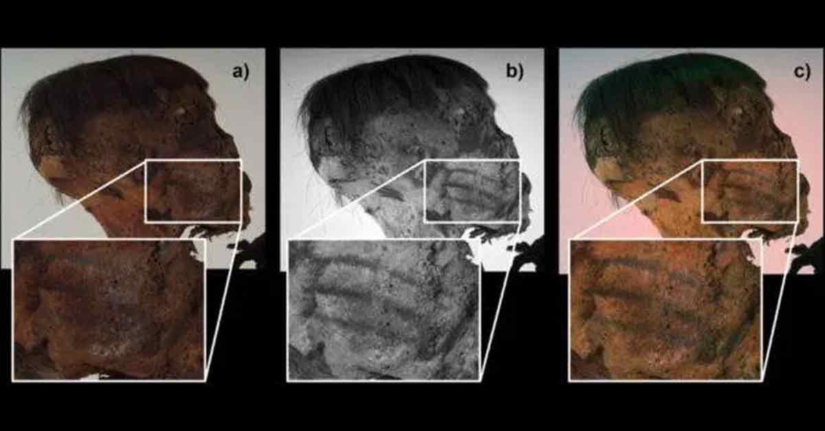 Mummie sudamericane: i misteriosi tatuaggi delle antiche civiltà.