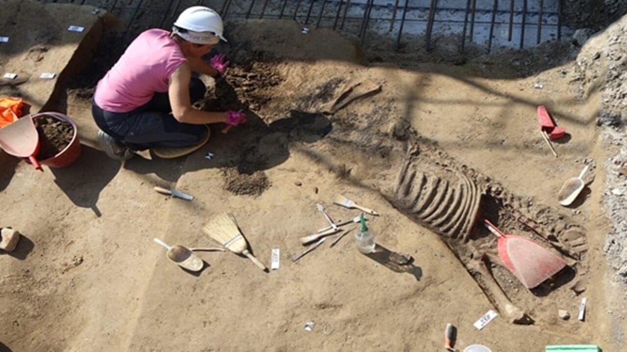 Scoperta necropoli del VI secolo a.C. a Padova durante i lavori per la costruzione di uno studentato.