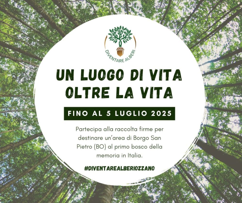 diventare alberi 1 Diventare Alberi: un progetto innovativo che trasforma il momento del commiato in gesto d’amore per la natura.
