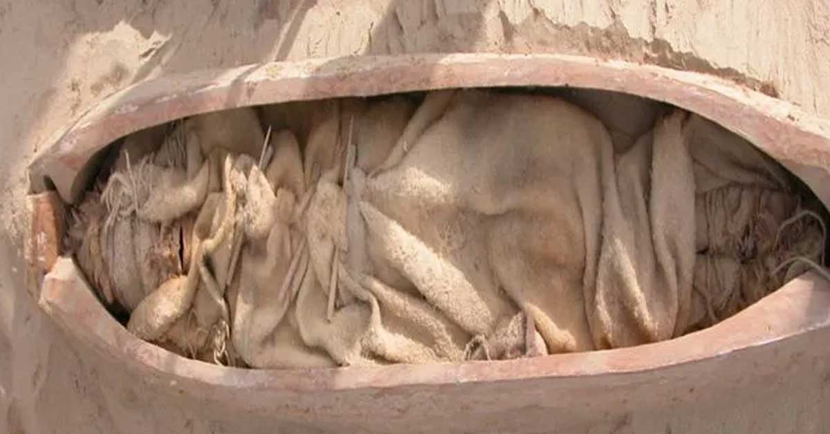 La cultura Xiaohe e le sue affascinanti pratiche funerarie.