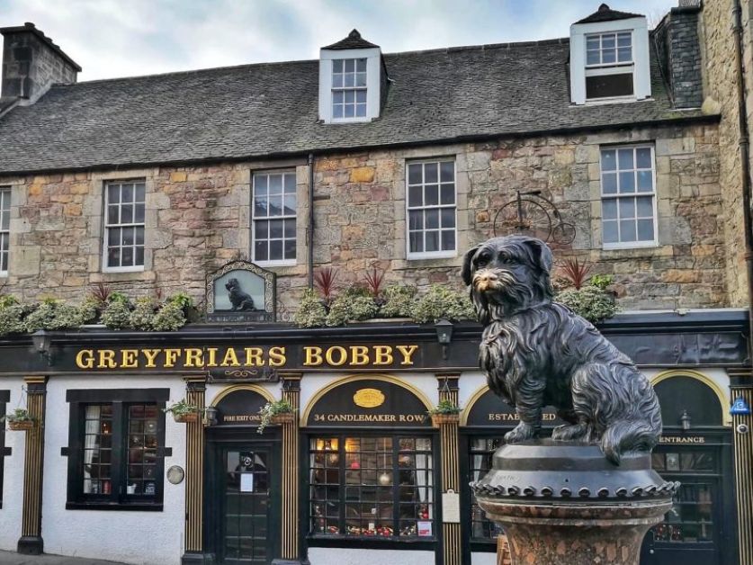 Il cane che vegliò la tomba del suo “umano” per 14 anni.