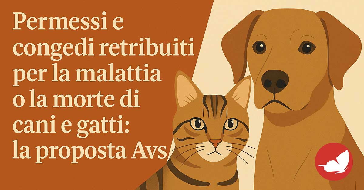 Permessi retribuiti per la morte o la malattia di cani e gatti: la proposta di legge.
