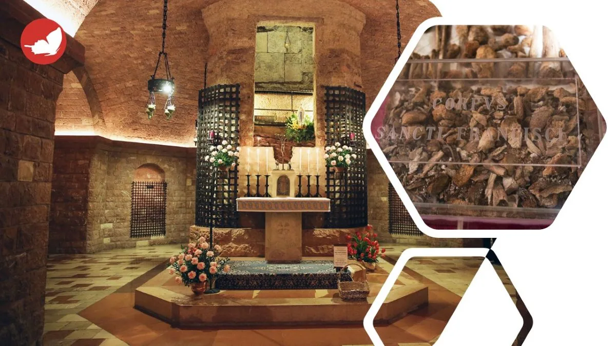 Ostensione spoglie di San Francesco d’Assisi nel 2026.