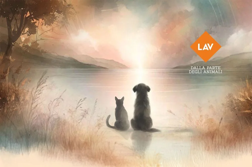 Donazioni in memoria LAV: un gesto d’amore per la vita.