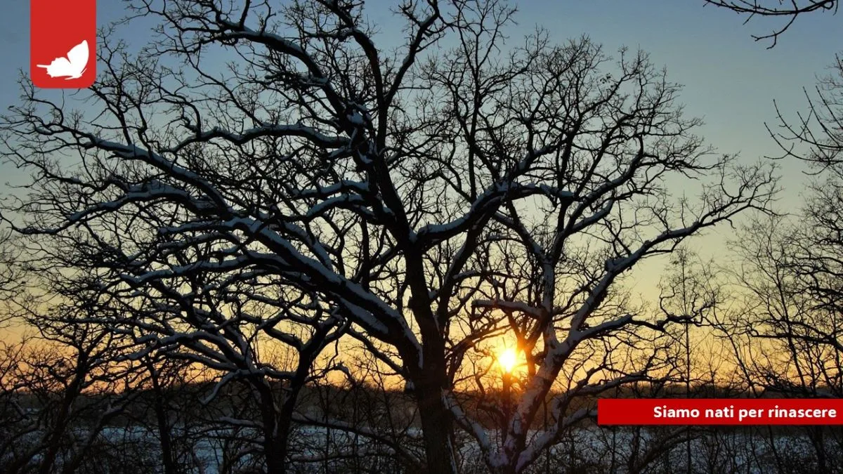 21 dicembre. Solstizio d’inverno: siamo nati per rinascere.