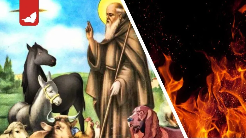 Sant’Antonio Abate e la notte in cui gli animali parlano.