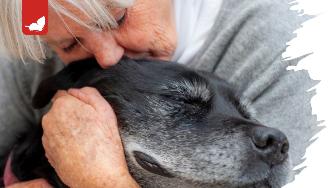 anziani animale domestico perdita