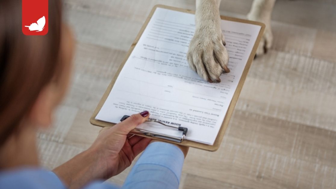 testamento e animali