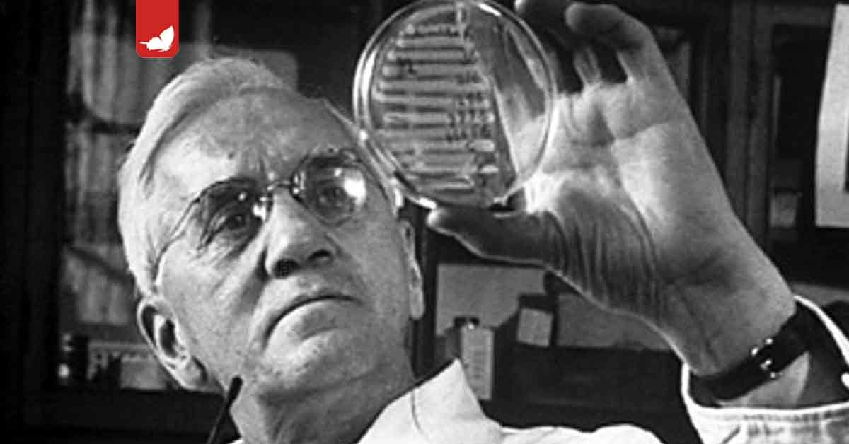 11 marzo 1955. Muore Alexander Fleming.