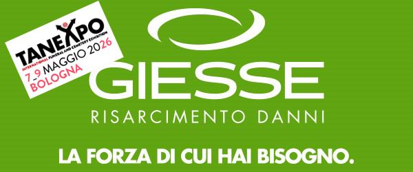 giesse risarcimento danni