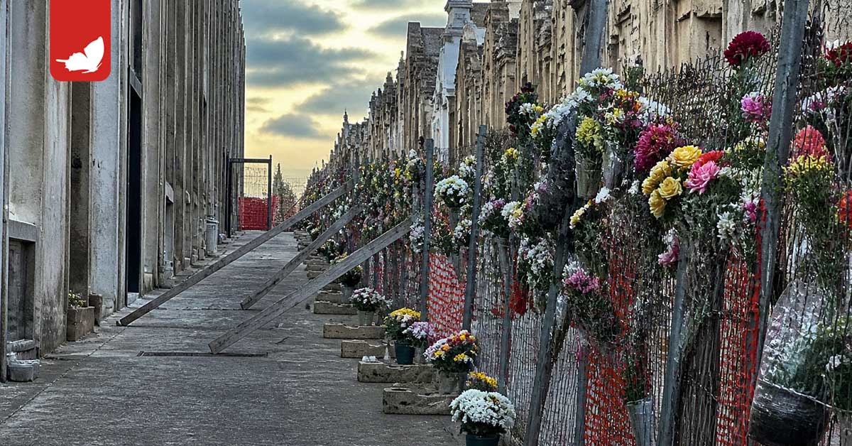 Cimitero storico di Modica, tredici anni di abbandono.