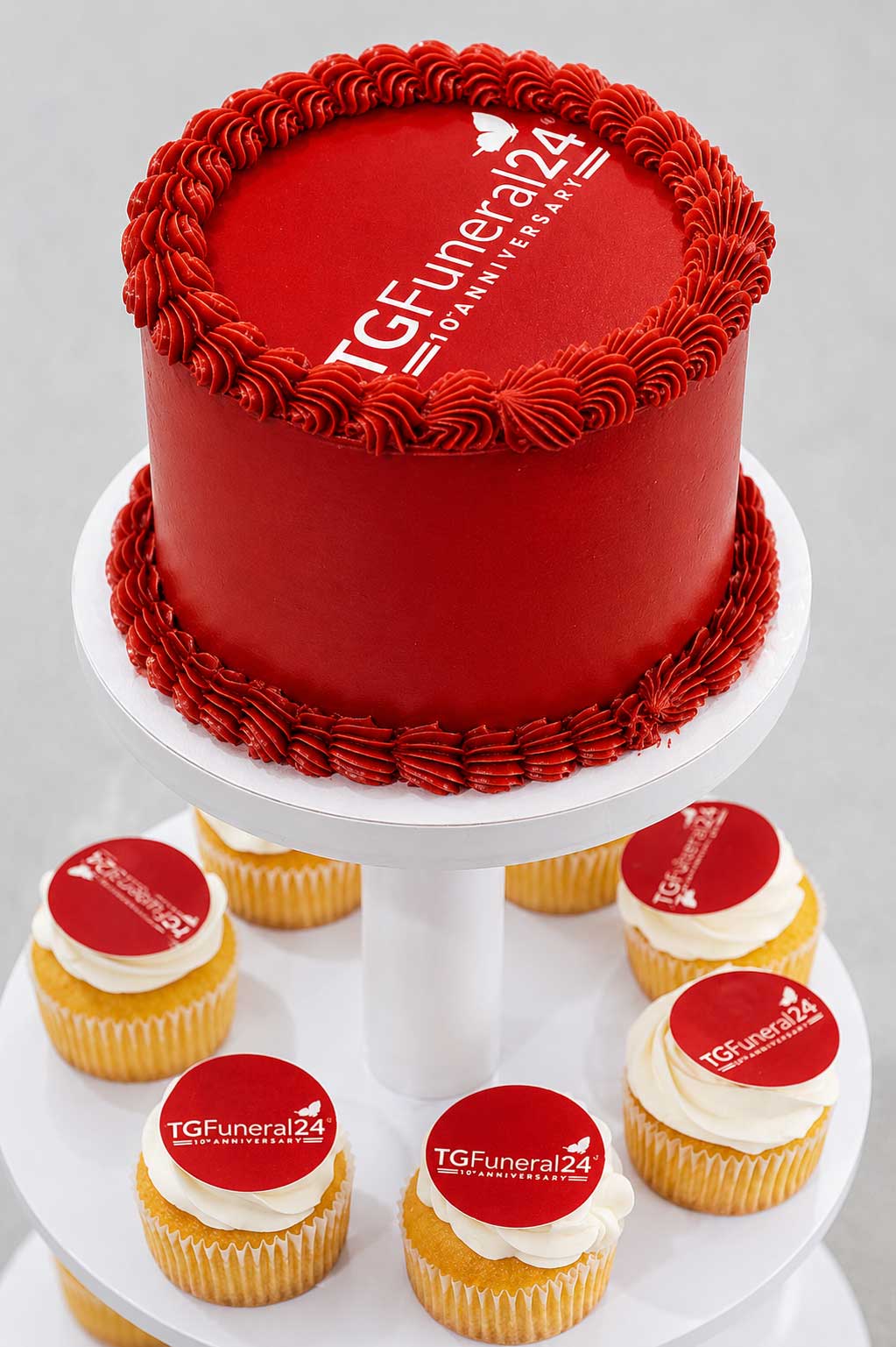 torta-10-anni-tgf24-verticale-2