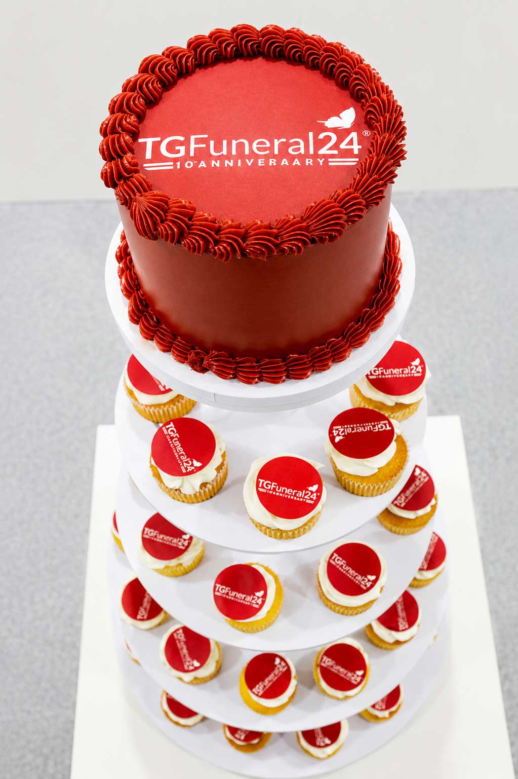 torta-10-anni-tgf24-verticale