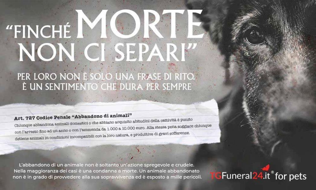 Reati contro gli animali: anche l’indifferenza uccide