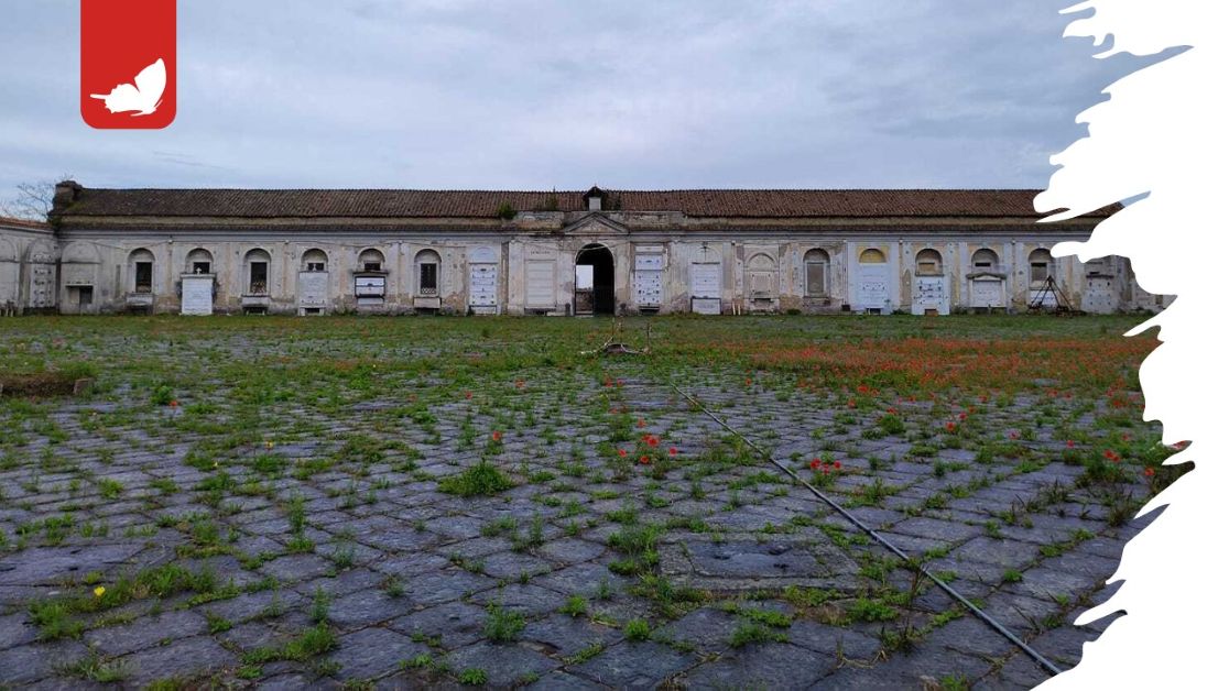 Napoli cimitero 366 fosse